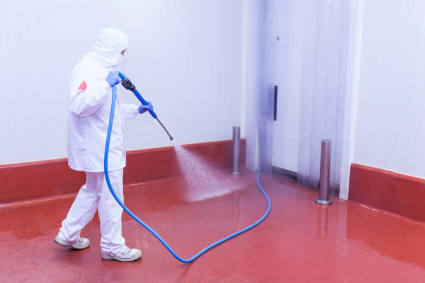 Best Oil Spill Cleanup  in Adamstown, MD